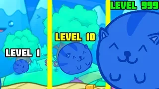 EVOLUTION OF FAT TO GROW CAT IN GAME SUSHI CAT!
