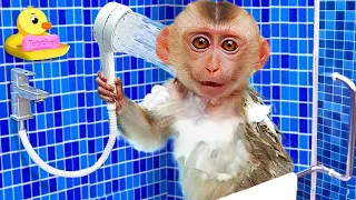 Monkey Baby Bin goes to the toilet and plays with Ducklings in the swimming pool