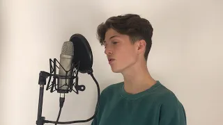 Niall Horan - nice to meet ya cover