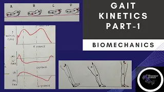 GAIT KINETICS - Part 1 (Gait Biomechanics)Physiotherapy Tutorial