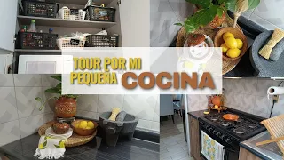 Tour y organización por mi pequeña cocina Infonavit 🍳