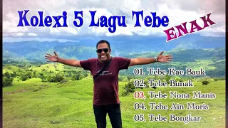 Kompilasi// 5 Lagu//Tebe ENAK//  Jerry BTN Official.