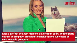 Cum a fost surprinsă Andreea Esca la pupitrul Știrilor PRO TV în timpul unei pauze publicitare
