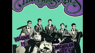 V/A Highs In The Mid Sixties Volume 19: Michigan Part 3