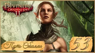 Divinity: Original Sin II ★ 53: Ханнаг, колдунья порталов.