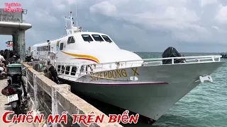 Tốc độ khủng khiếp của tàu cao tốc Superdong vượt bão đưa khách du lịch ở Hòn Sơn về đất liền