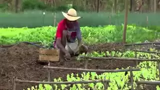 Caminhos da Reportagem | Agricultura familiar