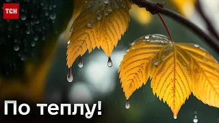 ⛅🌧️ На зміну теплу в Україну прийдуть дощі та прохолода!