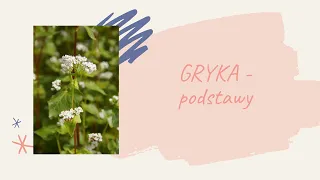 Gryka- wiadomości podstawowe