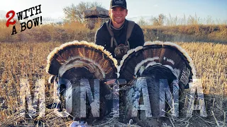 CRAZY MONTANA TURKEY DOUBLE! (I missed 3 times with by bow?)