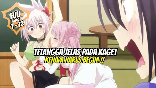 NINJA paling galau di dunia !! Seluruh Alur cerita ayakashi triangle