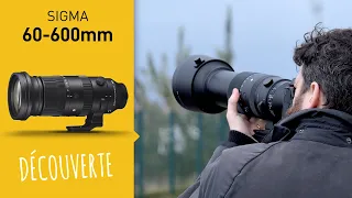 SIGMA 60-600mm Sport - version hybride : un indispensable en longue focale ?