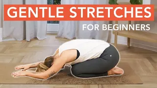 7 Stretches To Do Everyday (Flexibility Routine)