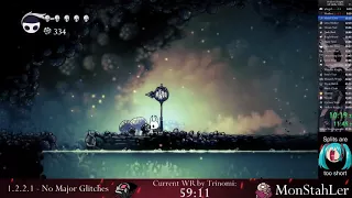 Hollow Knight All Skills NMG Speedrun - 58:29 loadless