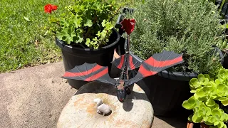 How to train your dragon Catapult toothless with racing stripes/war paint