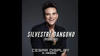 Silvestre Dangond (pegaditas) - César Dicsplay 🎚️🇻🇪