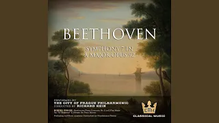 Beethoven Symphony No. 7 in A Major: II. Allegretto