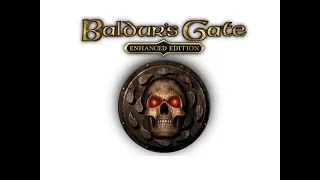 Baldur's Gate Tactics: Party & NPCs