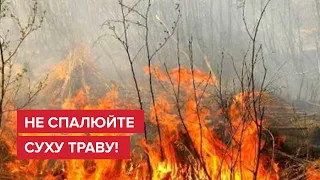 Чому не можна спалювати листя: наслідки і покарання