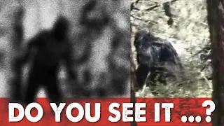 Bigfoot is Real - Simple Scientific Proof [Seriously]