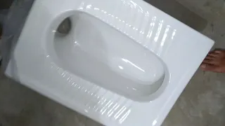 Jaguar indian toilet seat