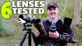 The BEST WILDLIFE Lenses Under $3k for Canon Mirrorless Cameras.