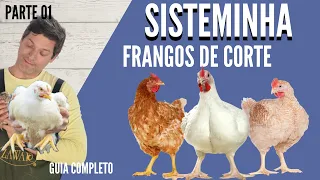 Frangos de Corte no Sisteminha - Guia Completo Parte 01