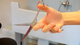 Grooming Guide - How to Hold Scissors #25