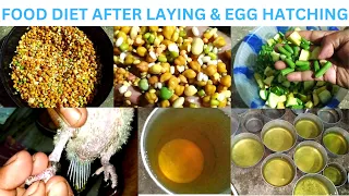 Food & medicine of parrots & conures after egg laying & hatching😍😍/ exotic bird food/conure breeder