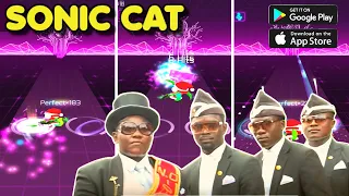 Coffin Dance Song (Astronomia) played on Sonic Cat *Endless Mode* | Gameplay # 2 (Android &iOS Game)