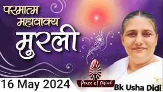 16 May 2024 Today Hindi Murli आज की मुरली Bk Usha Didi Brahmakumaris Murli 16.05.2024 Madhuban