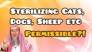 Can we sterilize Cats, Dogs, Sheep etc? - Assim al hakeem
