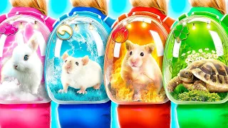 Construir Um Esconderijo Para Os Pets Dos 4 Elementos! Os Animais Da Água, Da Terra, Do Ar e Do Fogo