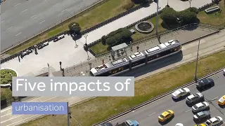 Five impacts of urbanisation