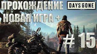 Days Gone Прохождение #15 (новая игра+)