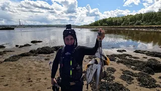 Охота на Северную КАМБАЛУ  / Hunting for Northern FLOUNDER