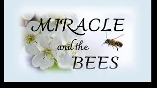Sunday Stories - Fate Series - Miracle and the Bees