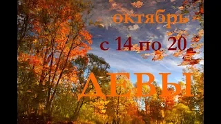 ДЕВЫ. С 14 по 20 октября 2019 Г. ПРОГНОЗ на НЕДЕЛЮ.