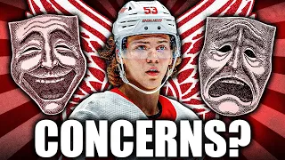 BIG CONCERNS FOR MORITZ SEIDER? DETROIT RED WINGS FANS SPEAK OUT…