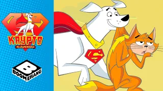 Krypto the Superdog | Krypto Saves Streaky | Boomerang UK