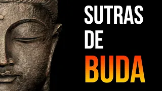 SUTRAS DE BUDA, Audiolibro Completo en Español. Voz humana real