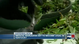 Medical marijuana to become legal in Kentucky