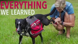 Everything I Learned From Backpacking With a Dog