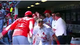 ALIVE - St. Louis Cardinals - 2015 NL Central Champions