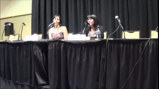 Kill la Kill VA Erica Mendez & Carrie Keranen Friday Panel @ Metrocon 2015