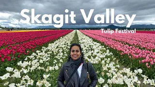 Skagit Valley Tulip Festival 🌷- Exploring the tulip fields & beyond