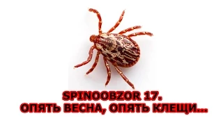 SPINOOBZOR 17. Опять весна, опять клещи...