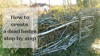 How to build a dead hedge step by step