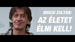 Mucsi Zoltán aranyköpései