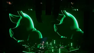 Roger Waters - Money (Pink Floyd cover, Live in Munich, May 2023)